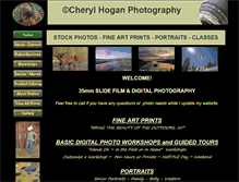 Tablet Screenshot of cherylhogan.com
